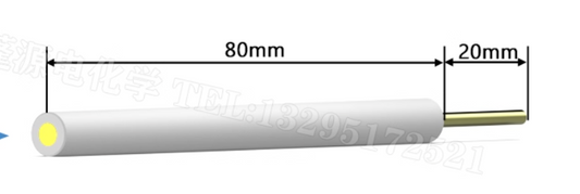 Gold Disk Electrode, >99.99% Purity