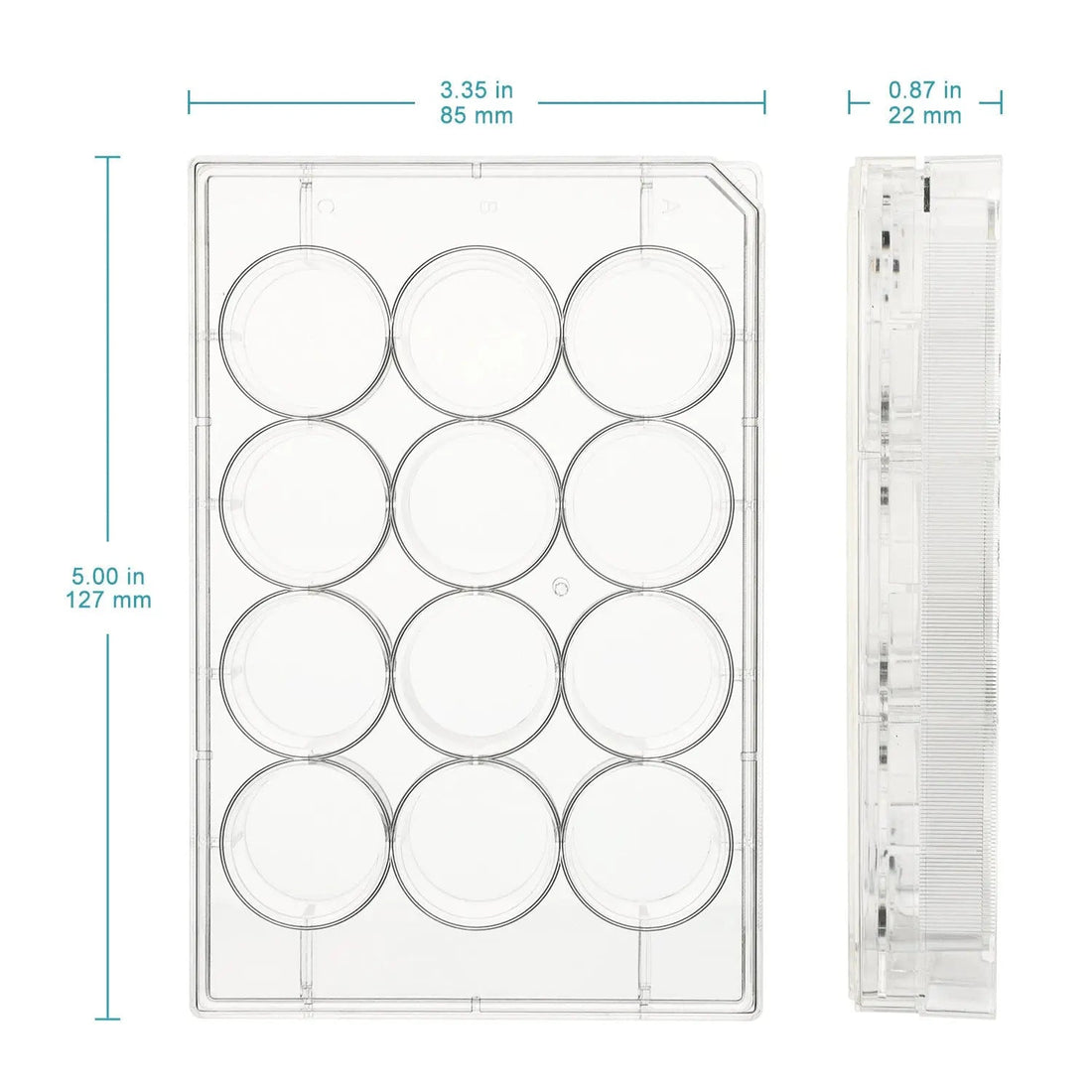 50-Pack Flat-Bottom Cell Culture Plate Dishes with Cover, Sterile, Polystyrene, TC Treated, Non-Pyrogenic