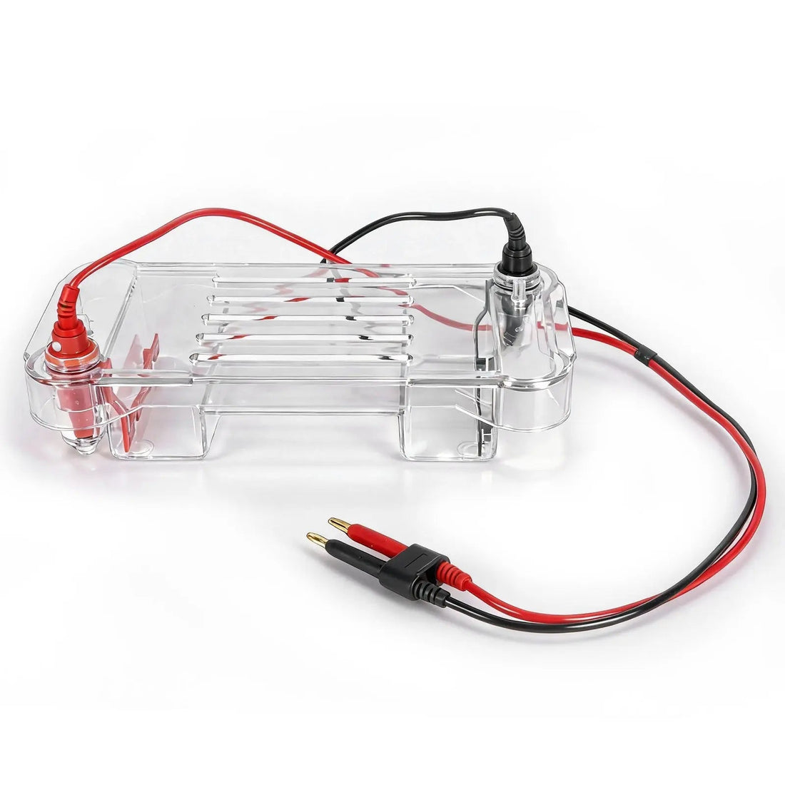 Horizontal Electrophoresis Apparatus, 4 Gel Tray Options, 700 ml Buffer Capacity