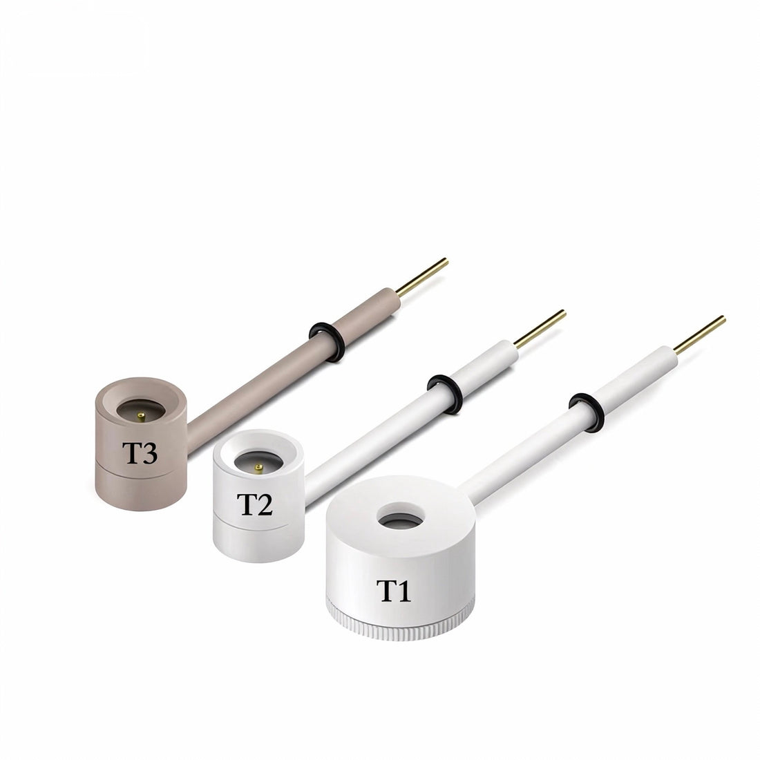 Sample Holder