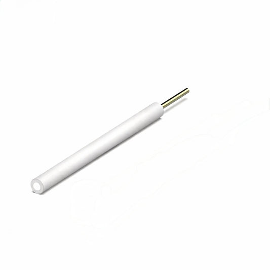 Platinum Disk Electrode/Pt Disk, >99.99% Purity,